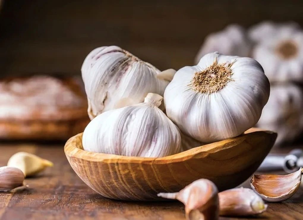 Lợi ích của tỏi trong việc giảm mỡ máu cao và phòng ngừa bệnh tim mạch