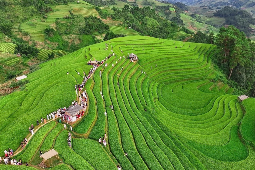 Homestay Mù Cang Chải giá rẻ gần đồi Mâm Xôi