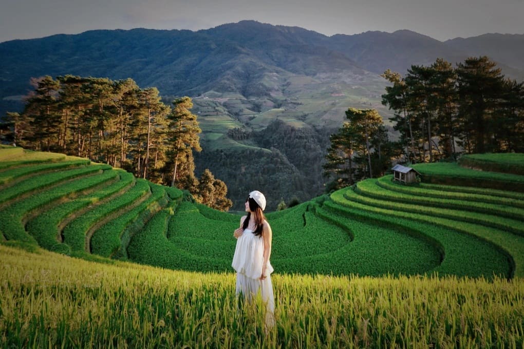 Kinh nghiệm du lịch Mù Cang Chải mùa lúa chín
