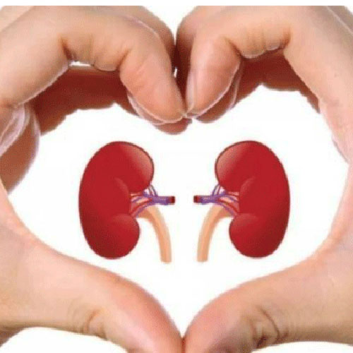 Những thói quen hằng ngày giúp thận khỏe mạnh hơn