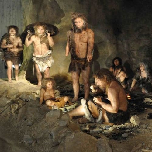 Phát hiện mới: Ăn xác động vật khiến tổ tiên chúng ta thành con người