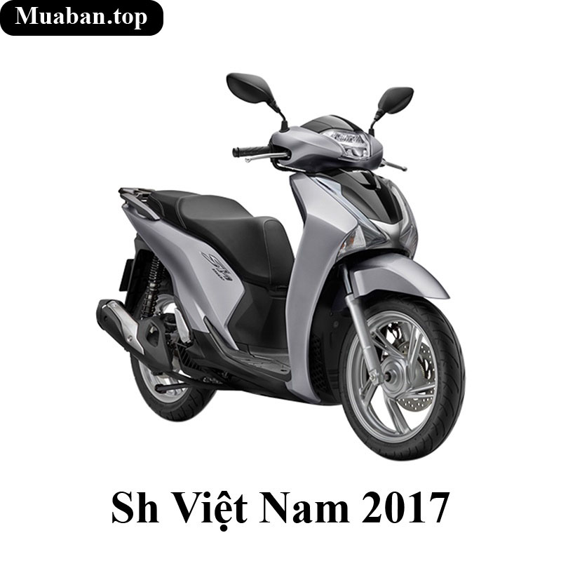 Thảm lót chân SH Việt Nam 2017 2