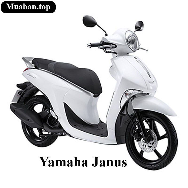 Thảm lót chân xe Janus hàng Indo loại dày 6