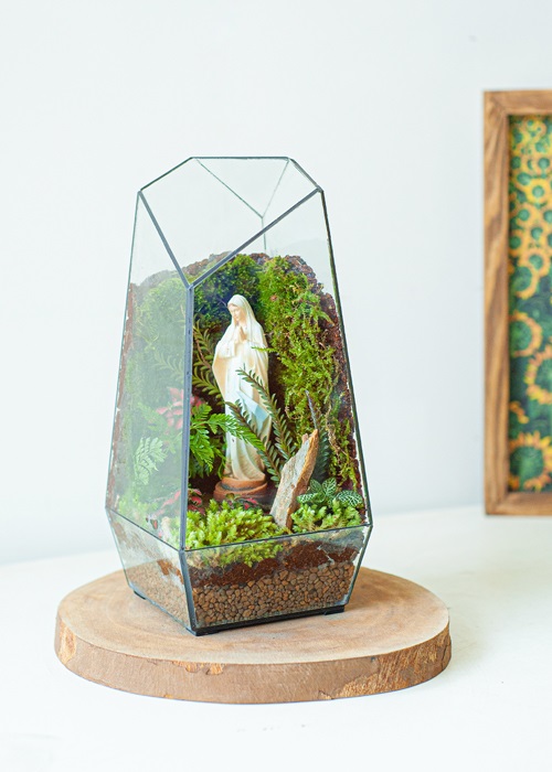 Tiểu cảnh để bàn terrarium an lành