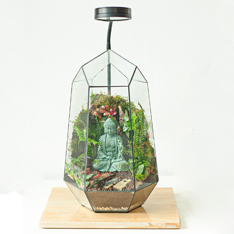 Tiểu cảnh để bàn terrarium bình an Tiểu cảnh để bàn terrarium bình an