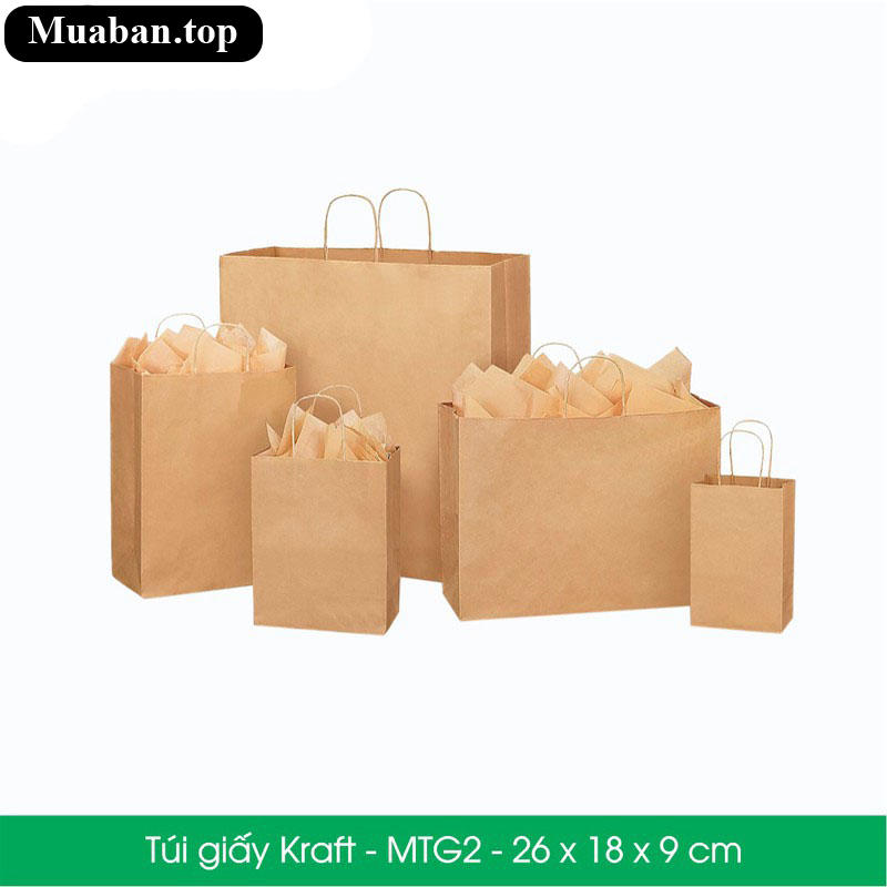 Túi giấy Kraft 26 x 18 x 9 cm 3