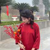 Vũ Cẩm Ly