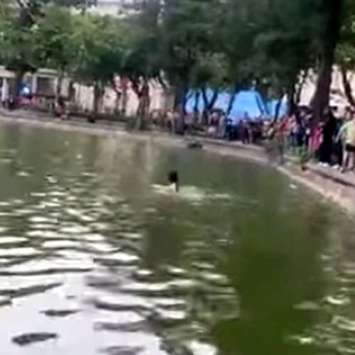 Vụ cô gái đuối nước ở hồ Hoàn Kiếm: Có thật người Hà Nội vô cảm?