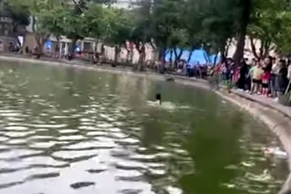 Góc nhìn nhân văn từ vụ cô gái đuối nước khiến dư luận tranh cãi