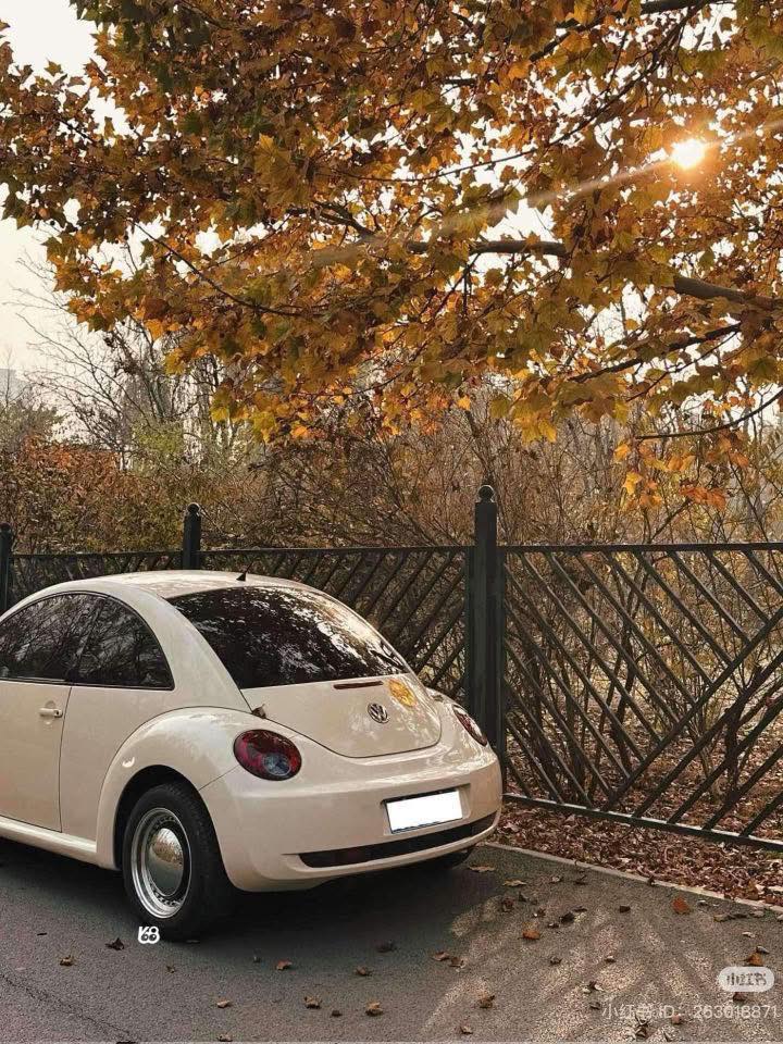 Xe điện chỉ 80tr đã về việt nam rồi nè mn 4